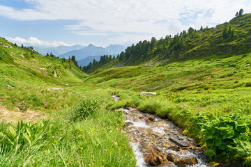 Frischer Gebirgsbach in den Bergen der Alpen