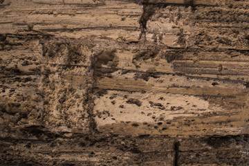 old wood background