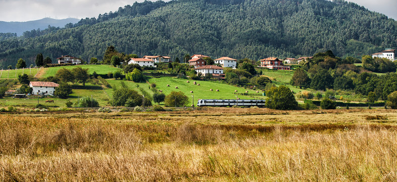 Tren cruzando la Reserva de la Biosfera del Urdaibai, Biscay, Basque Country, Euskadi, Euskal Herria, Spain, Europe