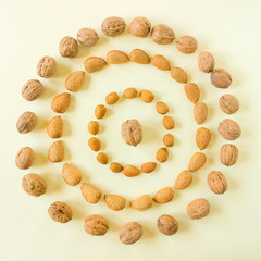 Creative and minimalist composition layout of almonds and walnuts. Concept- healthy lifestyle, vegetarianism, raw food, vegetable protein. Copy space.