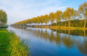 Shore of a canal along trees in sunlight at fall
