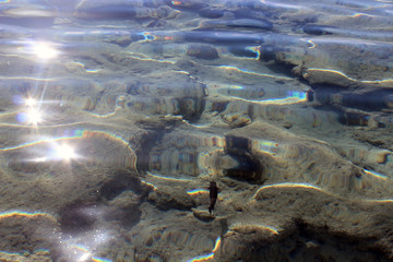 Old coral reef with fish.
