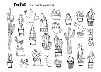 Cacti handdrawn sketch.Collection of different colorful cactus.