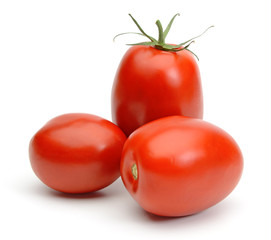 San marzano plum tomatoes isolated on white background