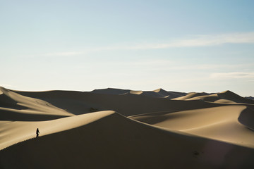 Fototapeta na wymiar Discovering new worlds: Explorer nature. The big sand dunes at the Gobi desert, Mongolia
