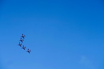 入間航空祭 ブルーインパルス