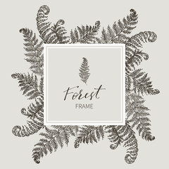 Beautiful card with a square frame with wreath of different plants of vintage garden and forest. Black and white frame of the fern, on a creme background. Vector illustration