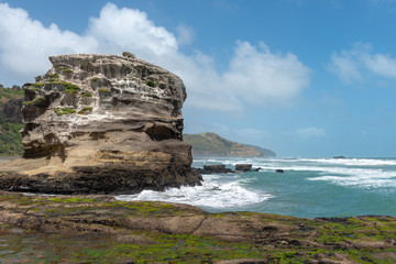 Fototapeta na wymiar Rough seas against a cliff housing gannet colonies in Muriwai Beach