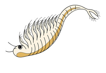 シーモンキー　アルテミア　キャラクター