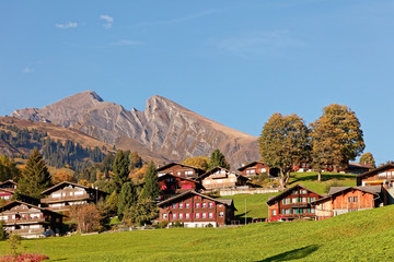 Traditional rural architecture at Grindelwald with views of Schwarhorn massif - Grindelwald, Jungfrau Region, Switzerland