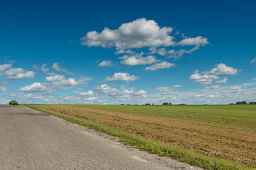 Fototapeta na wymiar Landscape, beautiful field and road