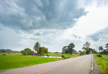 Country road with rice field in cloudy day