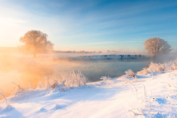 Naklejka premium Winter landscape