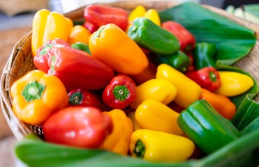 Red , Yellow , Green Peppers