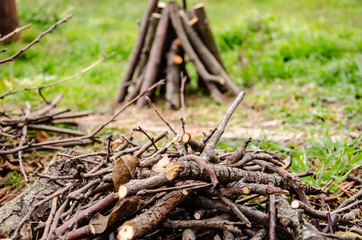 Firewood for a fire in the forest.