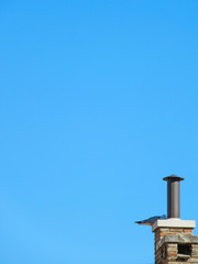 Metal and brick chimney with seagull over blue sky background