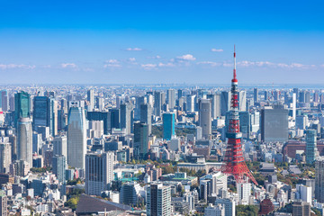 (東京都ｰ都市風景)展望台から見るお台場側風景４