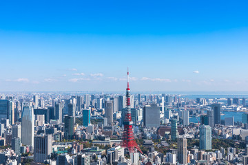 Obraz premium (Krajobraz miejski Tokio) Widok z boku Odaiba z obserwatorium 5