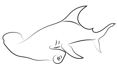 Black line hammerhead sharks on white background. Hand drawing vector graphic fish. Sketch style. Animal illustration.