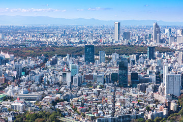 Fototapeta na wymiar (東京都ｰ都市風景)展望台から見る新宿側風景３