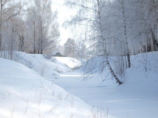Trees in the frost. Winter snow. Russian winter nature. Russia, Ural, Perm region