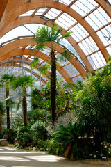 Fototapeta na wymiar Sheffield winter gardens interior