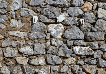 texture of the old wall of wild stone