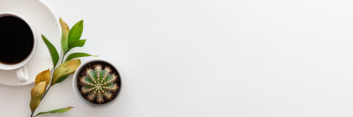 Panoramic photo of white desk copy space seen from above with a coffee, cactus and green dried...