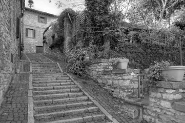 Fototapeta premium Assisi