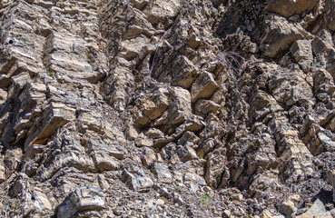 texture of sedimentary rocks