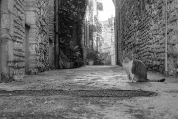 Assisi