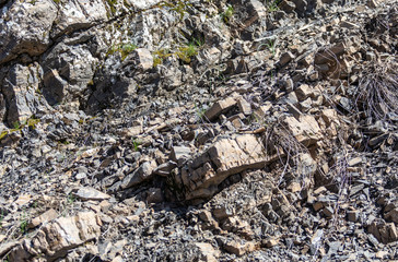 texture of sedimentary rocks