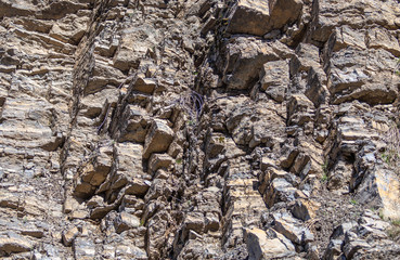 texture of sedimentary rocks