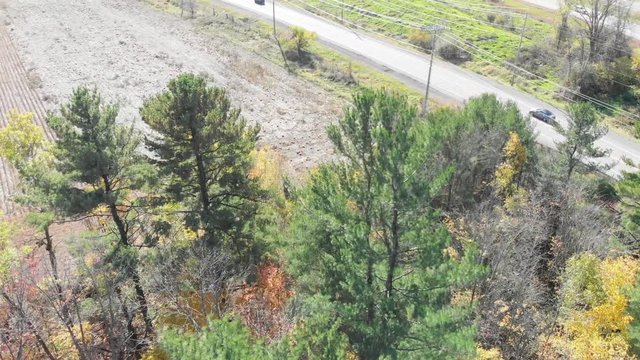 Rising aerial shot above trees in a autumn coloured forest beside a large highway with curvy over and under passes and lots of cars with hydro lines and a pumpkin patch.