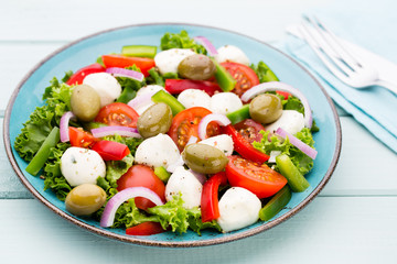Vegetable salad with cheese mozzarella, tomatoes, basilikum and spice.