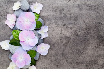 Naklejka na ściany i meble Spa flowers and massage stone, on grey background.