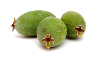 feijoa or pineapple guava