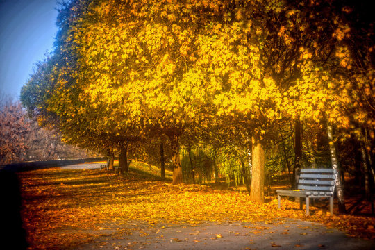 Сolorful autumn park