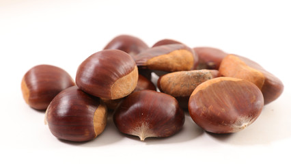 chestnut isolated on white
