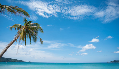 Fototapeta na wymiar tropical paradise beach with white sand and coco palms travel tourism
