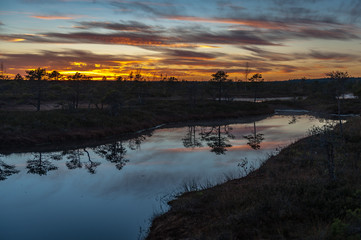 Panoramic bog landscape in autumn at sunset. Boardwalk in Kemeri National park. Latvia, Baltic.