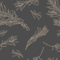 Vector seamless  pattern with rosemary hand drawn outline branches on dark gray background