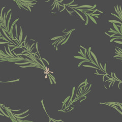 Vector seamless  pattern with rosemary hand drawn branches on dark gray background