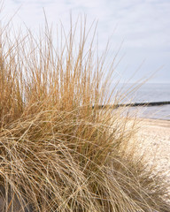 Horizon over dune at the Baltic Sea with green grass in the foreground.