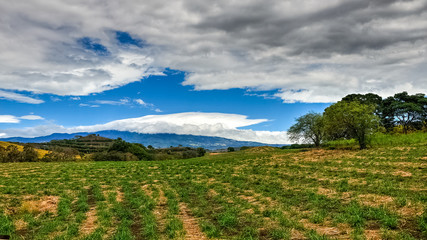 Fields surrounding Alajuela, Costa rica