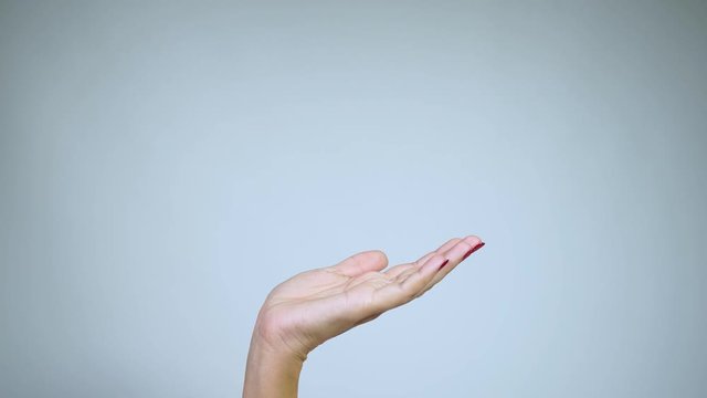 Closeup side view of beautiful female hand with holiday glossy red manicure showing something virtual and invisible on her empty palm isolated on light background. Real time 4k video footage.
