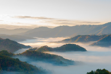 Obraz premium Przełęcz Onyu, jesienne liście, wczesny poranek, morze chmur
