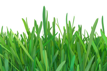 Green grass nature. plants lawn. 3d rendering natural background.