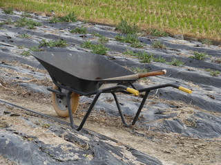 An Unicycle in the field