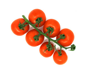 Saftige Tomaten an der Rispe